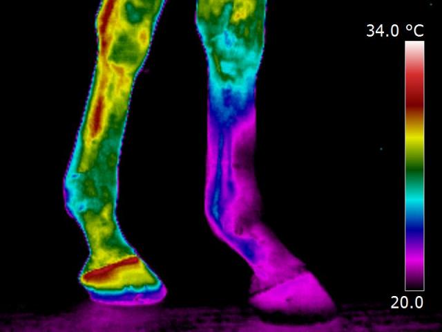 IR_0843.jpg